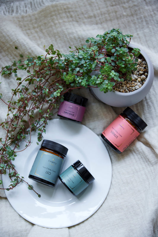 ［POPUP］IDÉE SHOP Nihonbashi 1/31(Fri)-3/3(Mon)