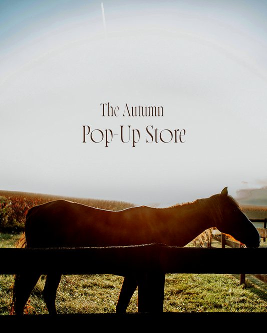 CAMYU　秋の Pop-Up Store