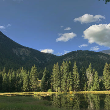 豊かな自然の風景